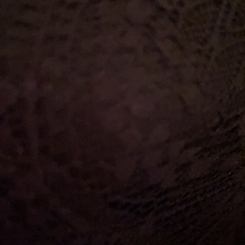 🐞Padded bra - Picture 3 of 5